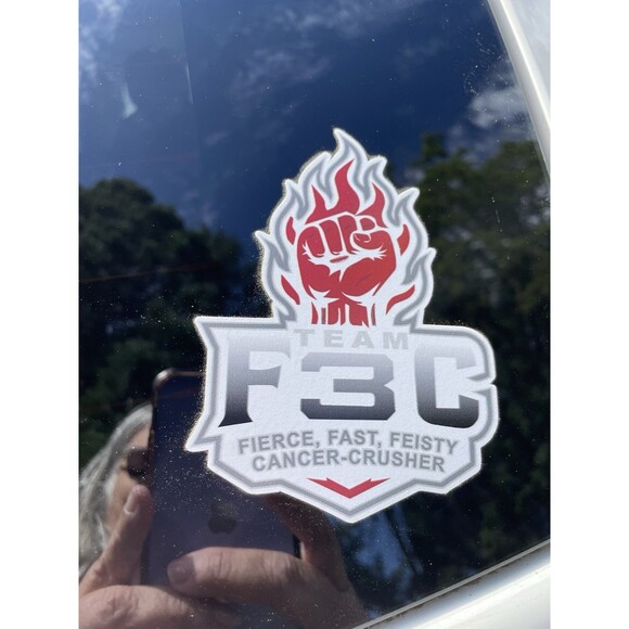 Cancer awareness sticker Fight Cancer Fierce Fast Feisty Cancer Crusher Team F3C - Picture 1 of 5